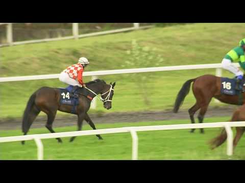 2. dostih - Cena Derby Clubu Prague - dostihy Chuchle Arena Praha 24. 5. 2020