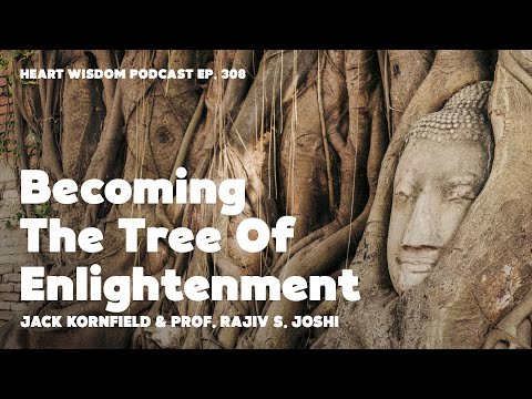 Becoming the Tree of Enlightenment with Prof. Rajiv S. Joshi & Jack Kornfield - Heart Wisdom Ep. 308
