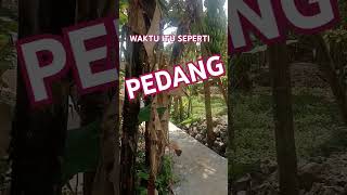 Download lagu gunakan waktu mu dengan sebaik mungkin #katakatabijak #katahatimotivasi #shorts mp3