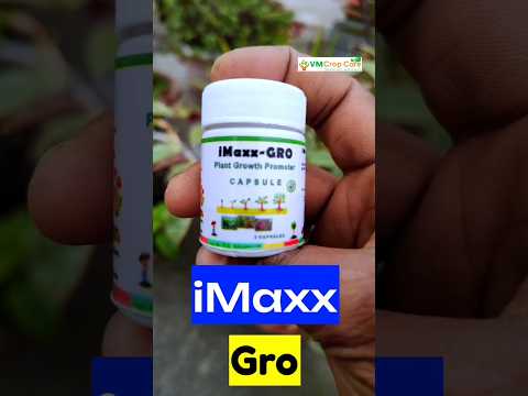 Plant Growth Promoters Capsule