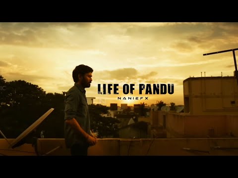 Life of Pandu | 4K WhatsApp Status | Dhanush | Nithya Menon | Raashi Khanna | Anirudh| #love #shorts