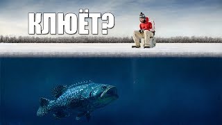 От мата до кондрата про зимнюю рыбалку