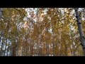 Vlog: Уж небо осенью дышало 