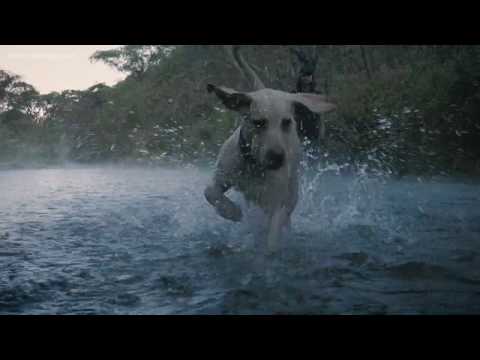 Palaraga - Around The World | www.palaraga.com