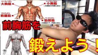 ［筋トレ］前胸筋や腕を鍛えよう！