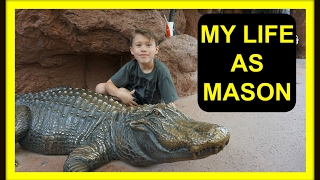 MY LIFE AS MASON!