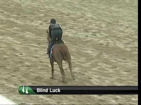 Blind Luck Kentucky Oaks Workout