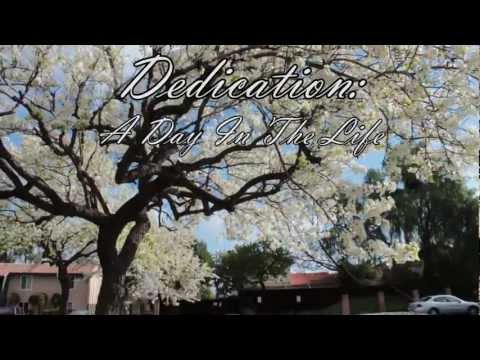Steelo - Dedication: A Day In The Life