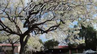 Steelo - Dedication: A Day In The Life