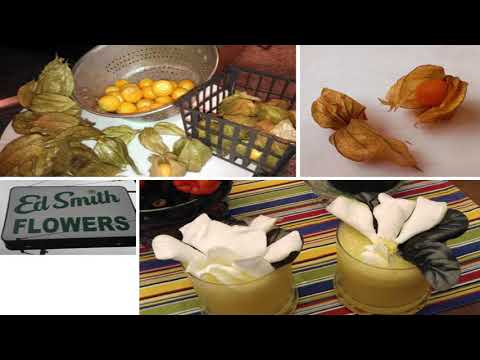 Pecha Kucha Dayton Vol. 33 - Carolyn Bohler