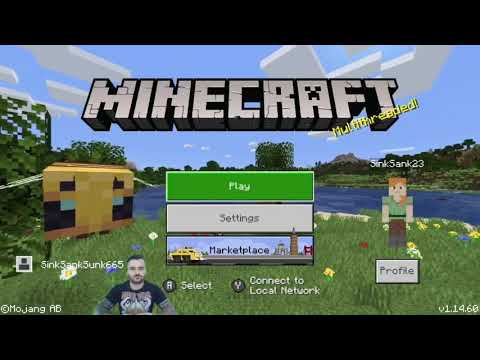 GeorgeInTheMeta - How to play Minecraft online on Nintendo Switch - Setup guide.