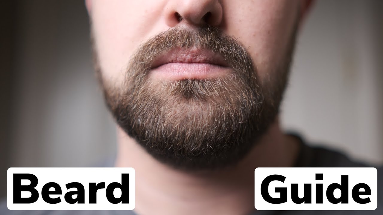 Business Beard Trim | The Complete Guide to Trimming and Maintaining a Corporate Beard