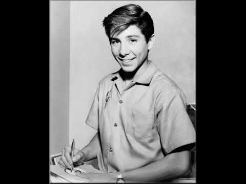 Johnny Crawford - Cindy's Birthday - Del Fi 4178