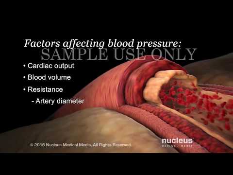 Understanding Basic Blood Pressure Control | Nucleus Health