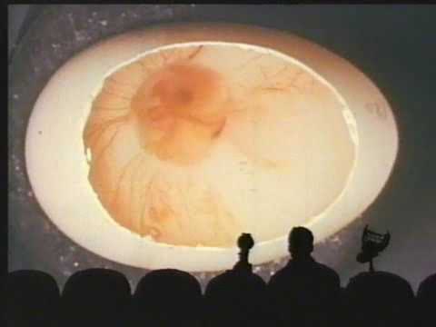 MST3K   S07E02   The Brute Man
