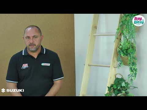 Traffic Safety with Bogdan Talașman, Ep. 22 – The Dangers of Using Your Phone at a Crosswalk