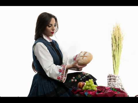 РАДОСТИНА ПАНЬОВА - СЕСТРА  БРАТА КАНИ | RADOSTINA PANIOVA - SESTRA BRATA KANI (Official Audio)