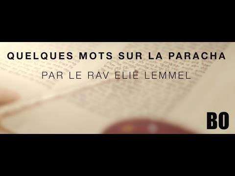 La recette des matzot... !? Rav Élie Lemmel - Parasha Bo