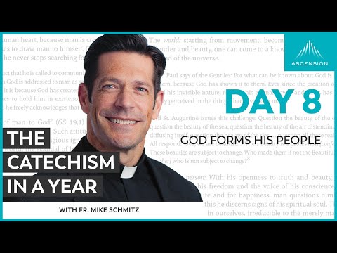 Day 8: God Forms his People — The Catechism in a Year (with Fr. Mike Schmitz)
