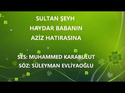 Asrın ulamalarindan olan kadiri ve Nakşibendi şeyhi seyid şeyh haydar Baba ks hazretleri palulu