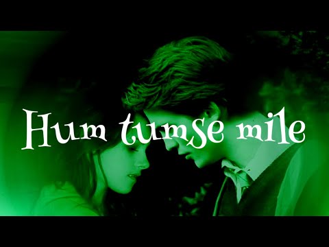 Hum Tumse Mile , Song With lyrics