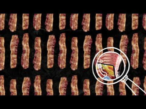 Le bacon