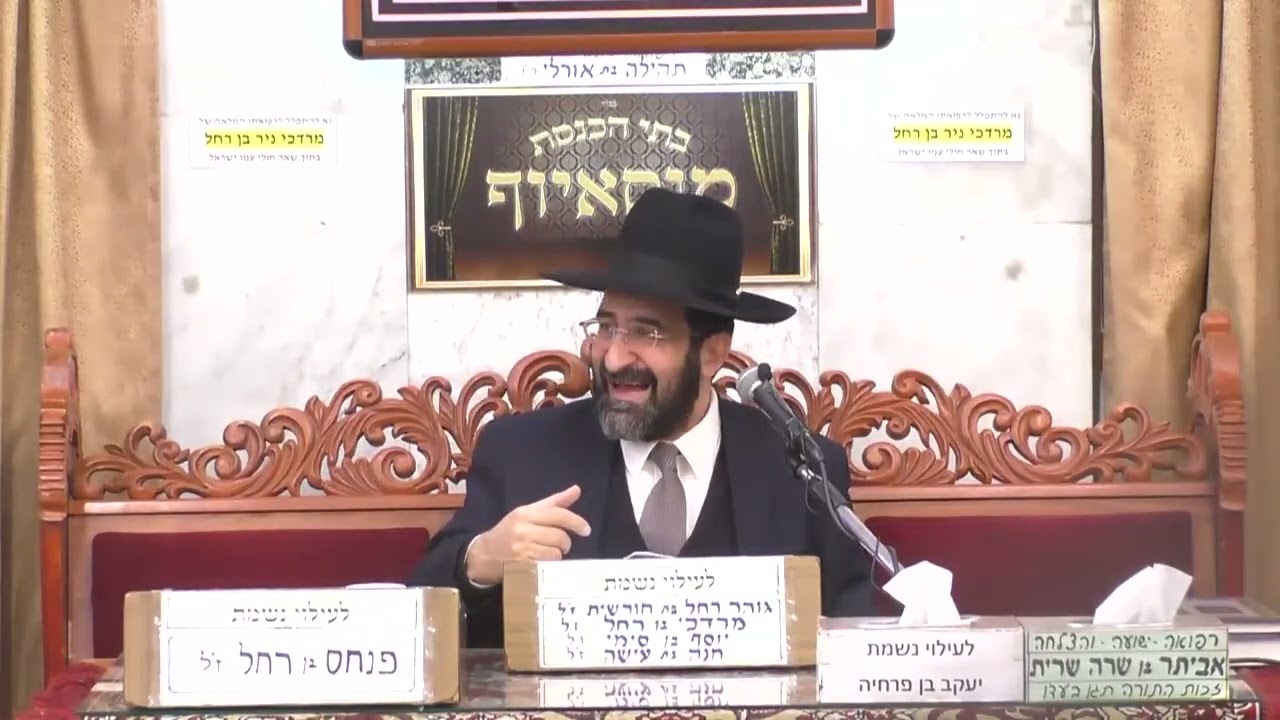 הרב אייל שרגא  •  המרירות בחיים היא המתיקות  •  פרשת וארא תשפ'ד