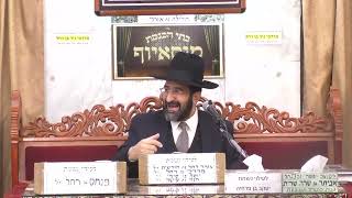 הרב אייל שרגא  •  המרירות בחיים היא המתיקות  •  פרשת וארא תשפ'ד (בית הכנסת מוסאיוף - ערוץ חדש) - התמונה מוצגת ישירות מתוך אתר האינטרנט יוטיוב. זכויות היוצרים בתמונה שייכות ליוצרה. קישור קרדיט למקור התוכן נמצא בתוך דף הסרטון