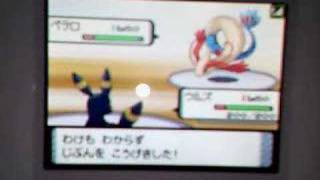 アラン vs クセナキス - Pokemon DP Wi-Fi battle movie