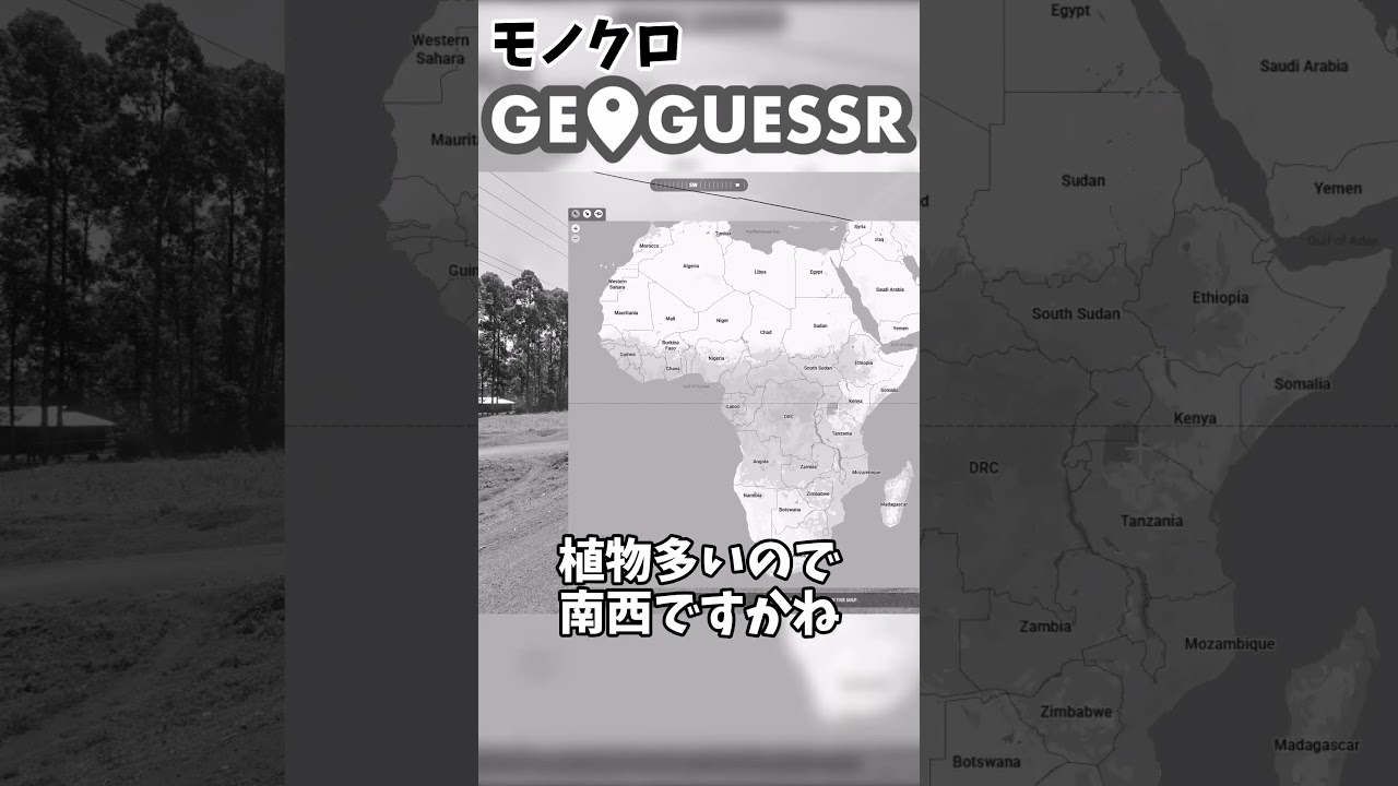 【Geoguessr】白黒でGeoguessrをプレイしてみる#geoguessr