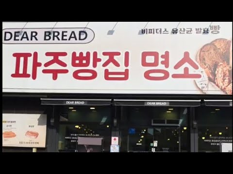 파주명품빵 디어브래드 김윤희 대표 인터뷰!