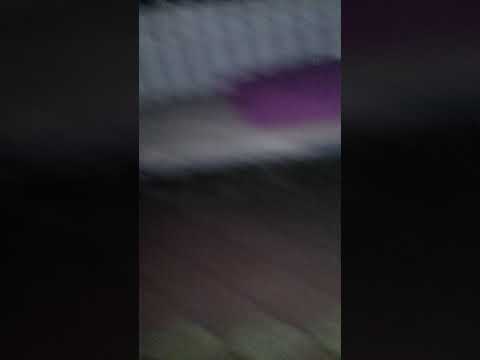 Avem valoare (cocos(