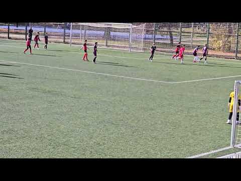 Fk Voždovac - Fk Obrenovac 1-2