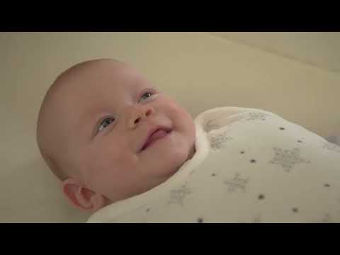 Seggiolino Auto Everfix I-Size Gray Mist Bebè Confort