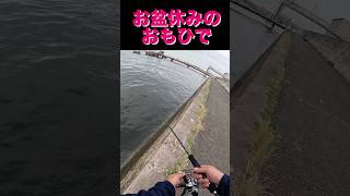 【2025お盆休みのおもひで】