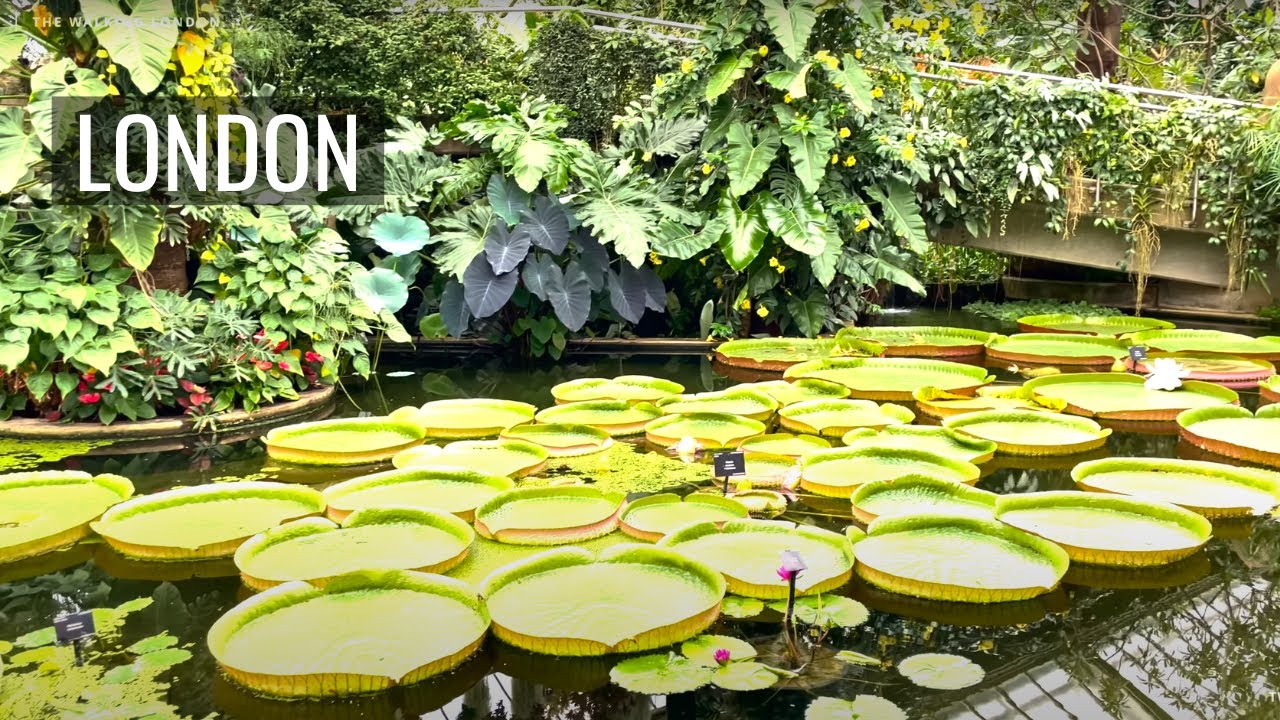 Experience an immersive walking tour of Kew Gardens.