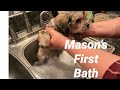 Mason S First Bath