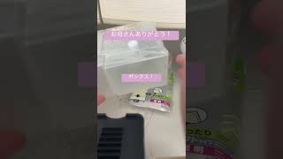 #vocaloid #ボカロ #初音ミク #ホロライブ #白上フブキ #ばずれ #バズれ