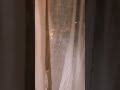 Sana Khan And Nisha Guragain New Trending Viral Reel Hututu Shorts