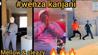 wenza kanjani dance challenge compilation 🔥🇿🇦||mellow & sleazy-wenza kanjani #mellowandsleazy