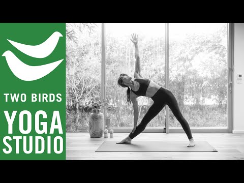 75 Minute Ashtanga Inspired Vinyasa Flow