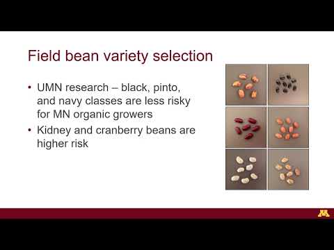 Alternative crops for organic systems (original version)