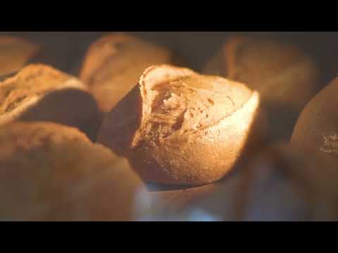 Roger Russel Electric One Deck One Tray Baking Specialist Oven Stone Optional pizza oven