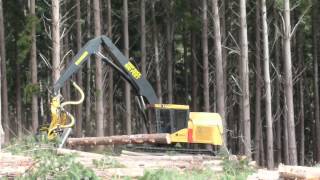 Tigercat H855C TH575 harvesting Australia