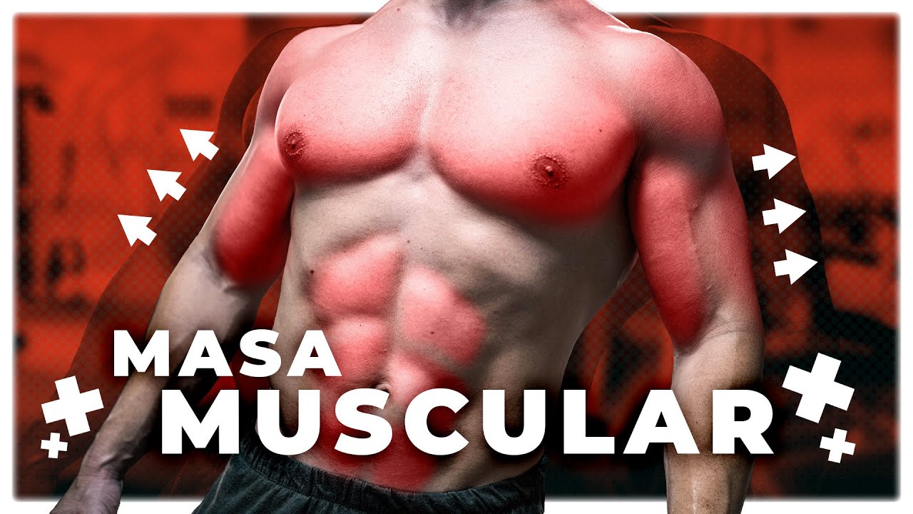 Cómo Utilizar el Entrenamiento de Fuerza para Ganar Masa Muscular