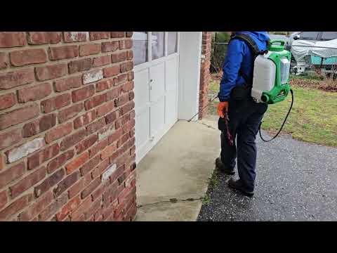 Keeping the Ants Out of the Home in Toms River, NJ