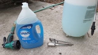 IMPROVED Soapy Water Insecticide Spray: Dawn Dish Soap