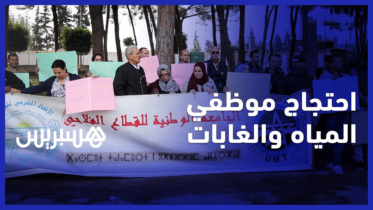 موظفو وموظفات المياه والغابات يطالبون بصرف التعويضات والمنح وترقية المتصرفين بالقنيطرة thumbnail