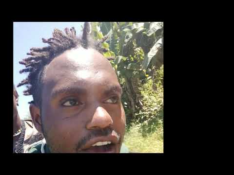 Lagu timur papua. Anak intan jaya.