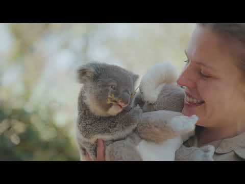 Symbio Wildlife Park